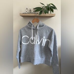 Calvin Klein Gray Sweatshirt Hoodie